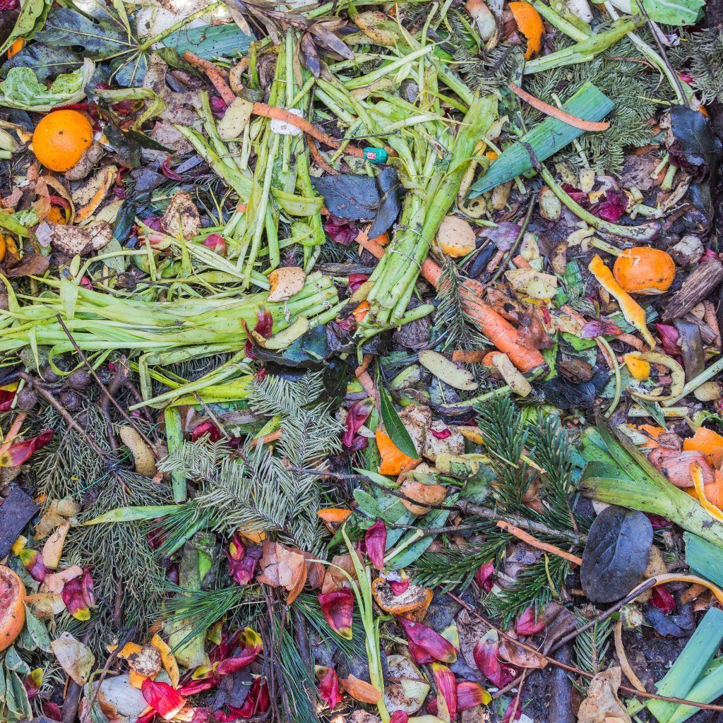 Compost verduras