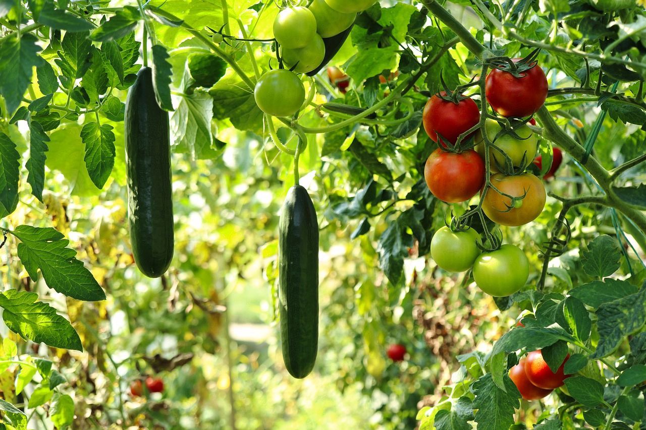 Mejores frutos humus de lombriz Mejores frutos