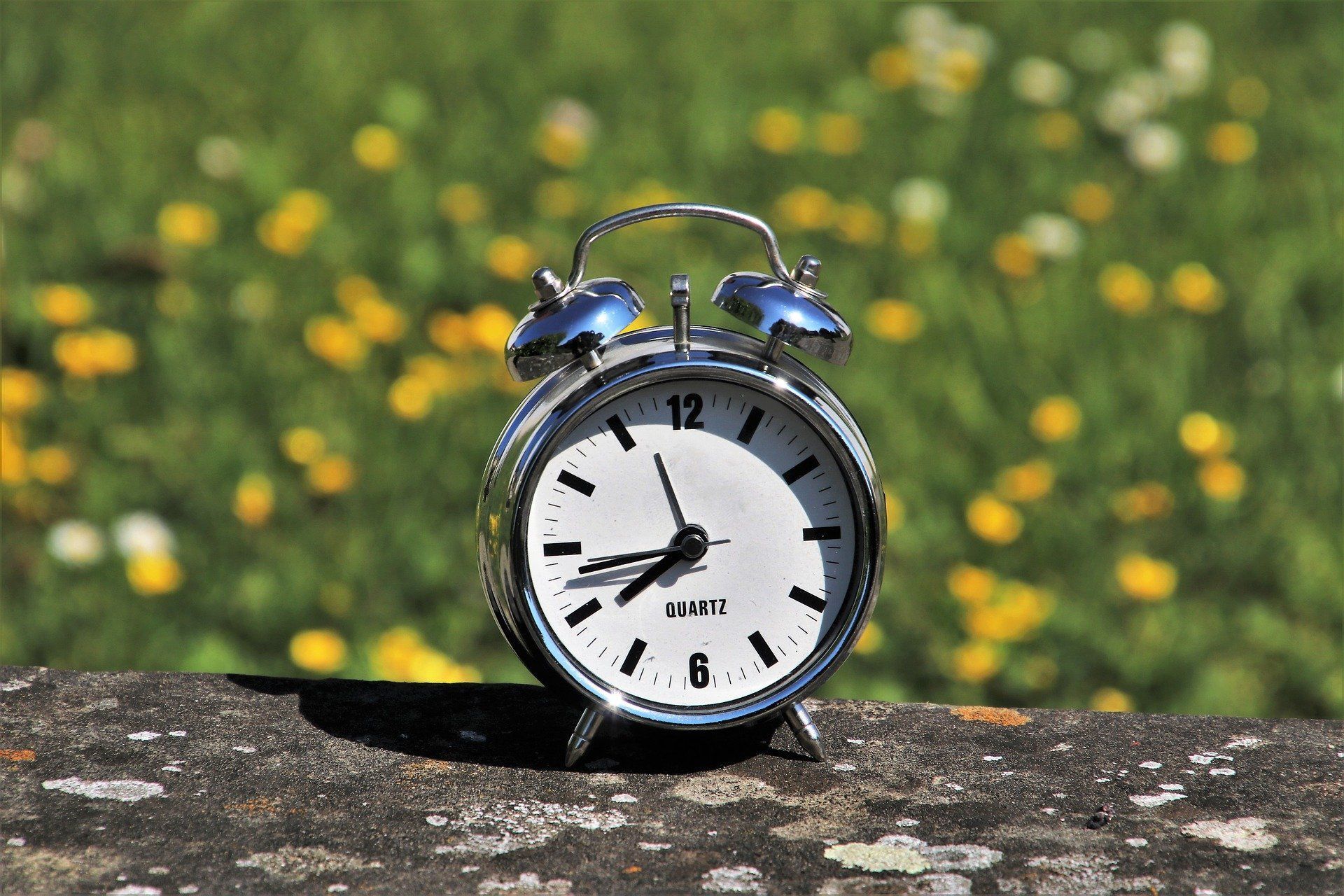 Tiempo y reloj humus de lombriz Tiempo y reloj