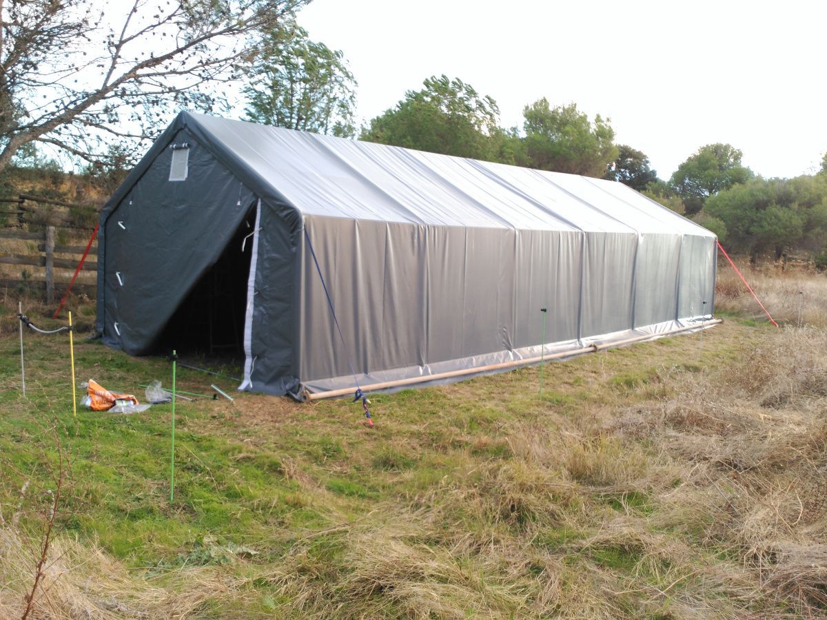 Carpa grande