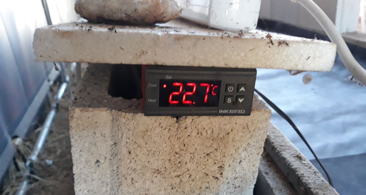 Termostato
