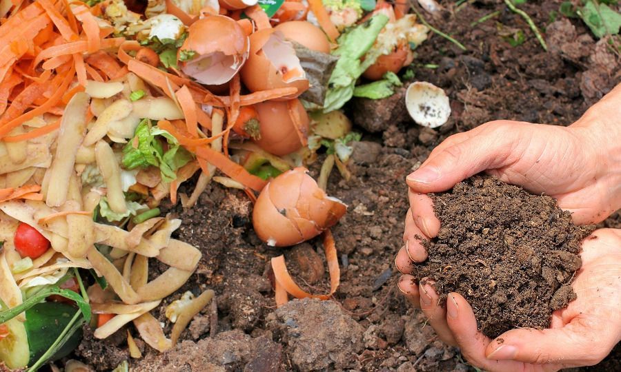 Compost 2