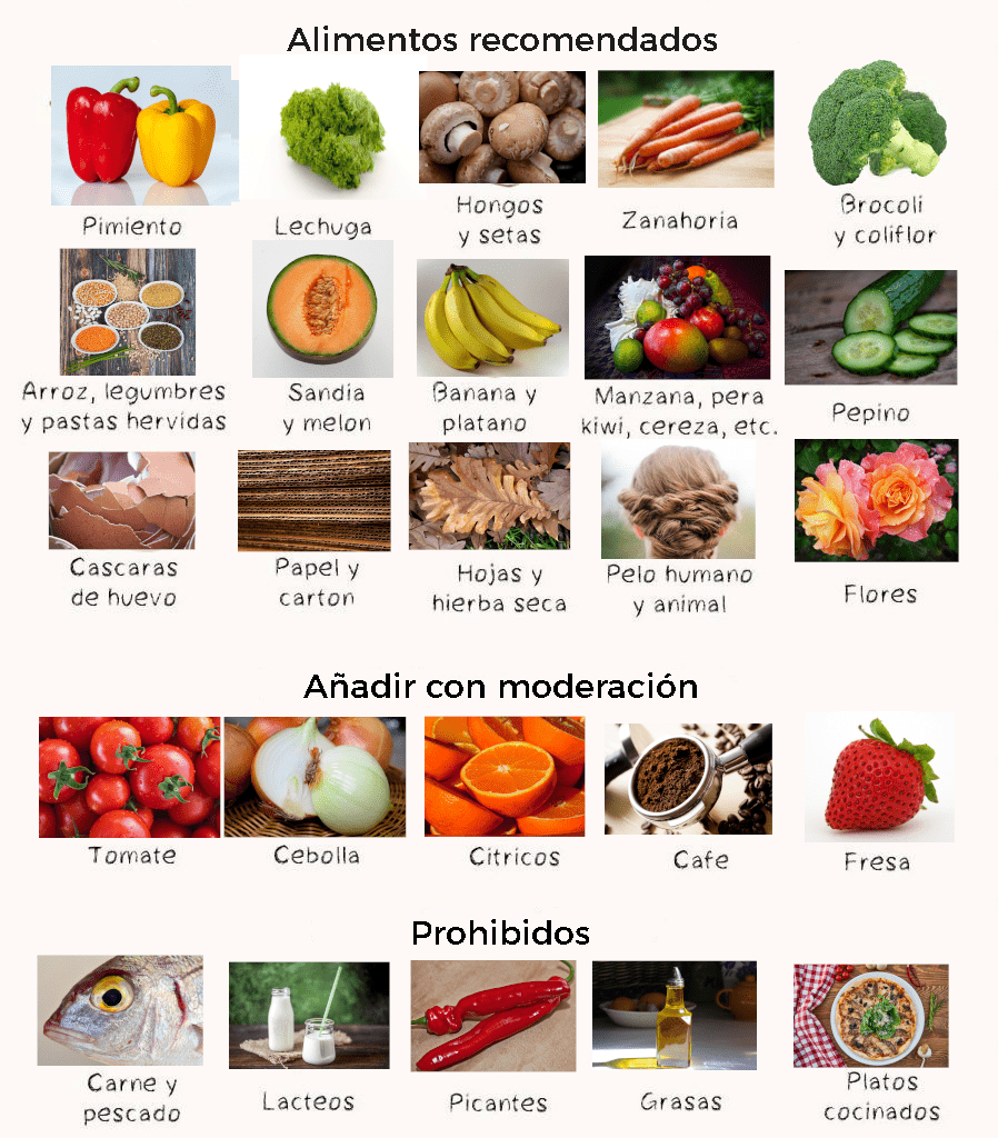 Alimentos lombrices ok