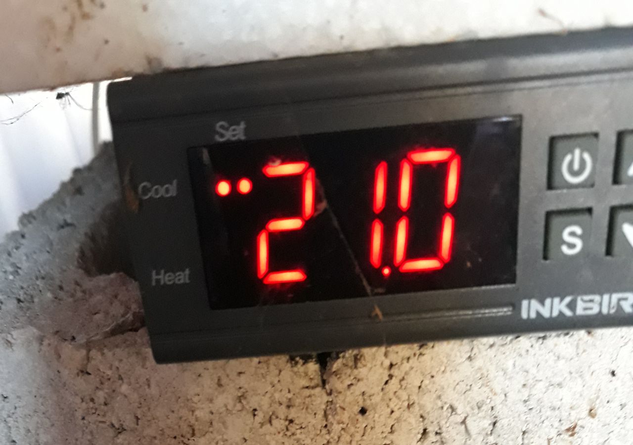 Termostato 4