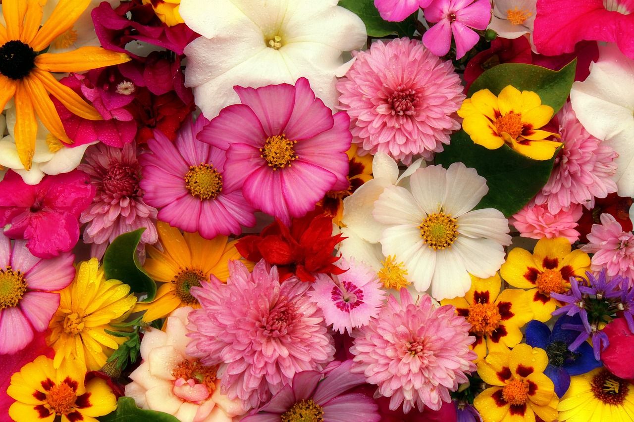 Floristería lombricultura