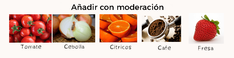 Alimentos con moderación para las lombrices