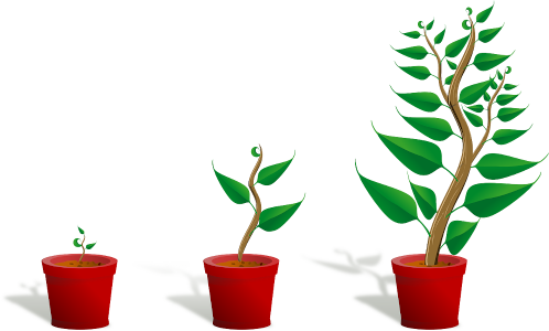 Crecimiento plantas