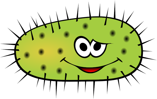 bacterias