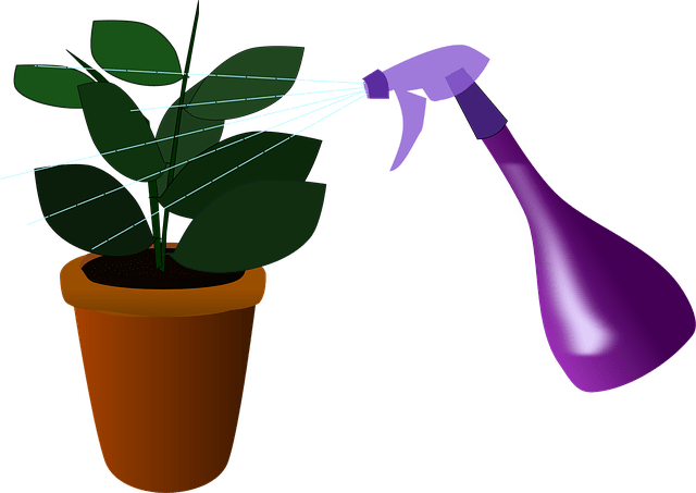 Aplicación foliar