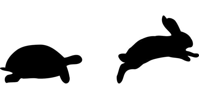 Lento y rápido