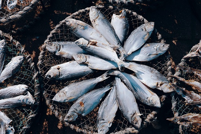 Pescado
