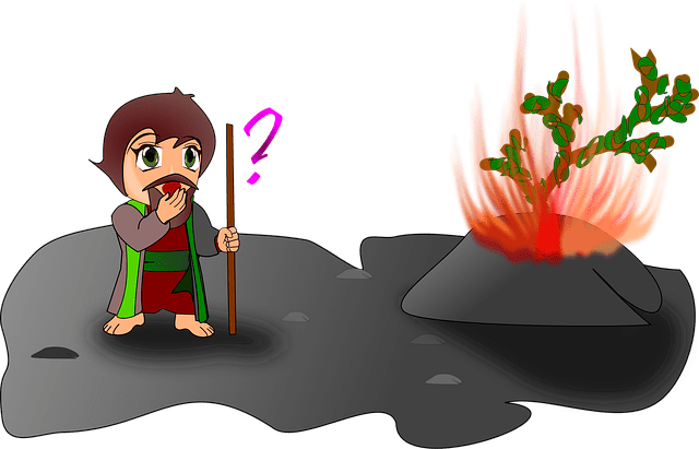 Quemar plantas