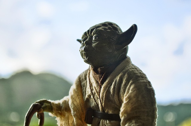 Yoda maestro