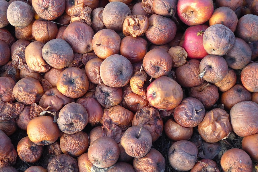 Manzanas pochas