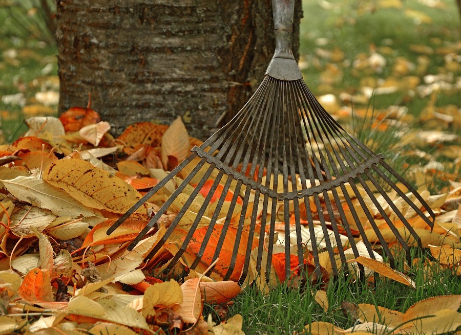 Tipos de compost, restos de poda