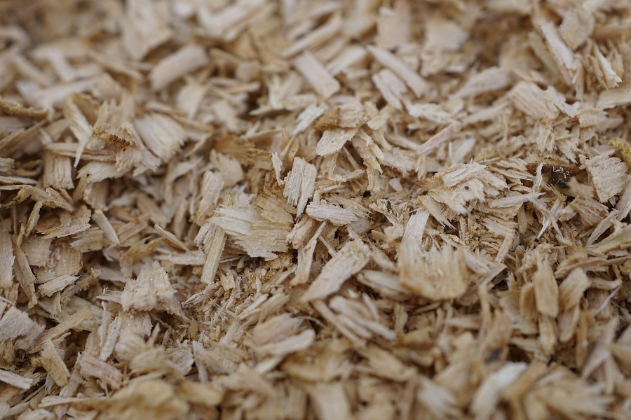 Virutas de madera