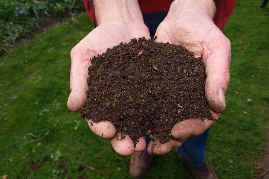 Compost maduro 2