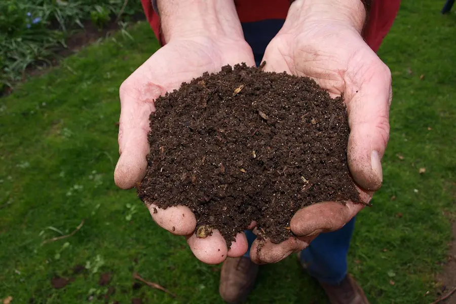 Compost maduro 2