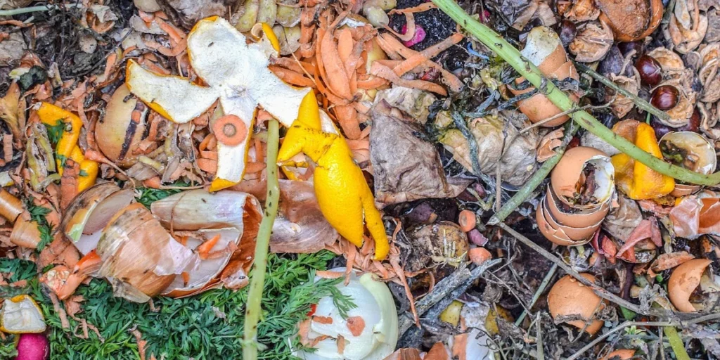 El precompostaje de restos vegetales para la lombriz roja